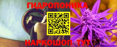ECSTASY Гудермес