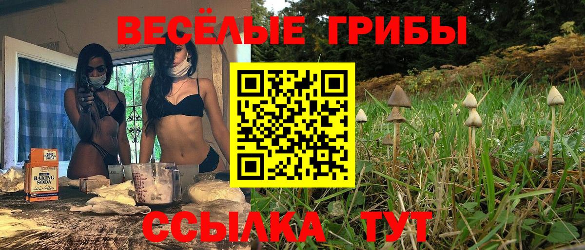 Галлюциногенные грибы Magic Shrooms  цена   Муравленко  Вход с VPN 
